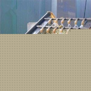 洋槐花市場(chǎng)綜述 價(jià)格、品牌廠家與預(yù)包裝食品批發(fā)指南